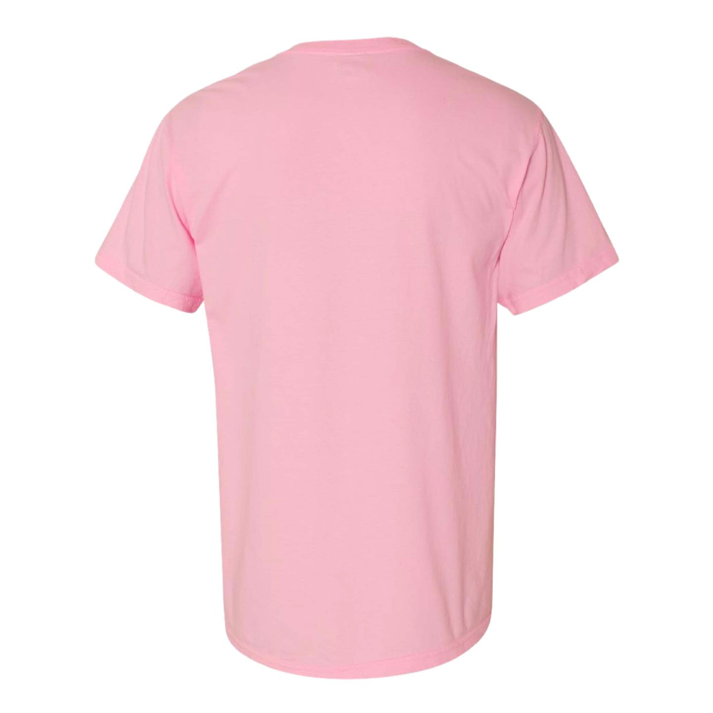 Zealo Gear - Pastel Horizontal